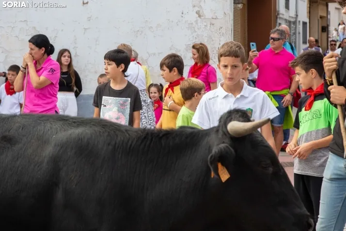 Encierro Fiestas Ólvega 2022