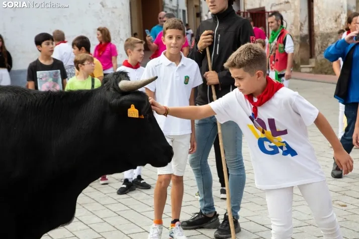 Encierro Fiestas Ólvega 2022