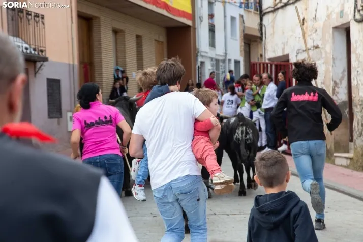 Encierro Fiestas Ólvega 2022