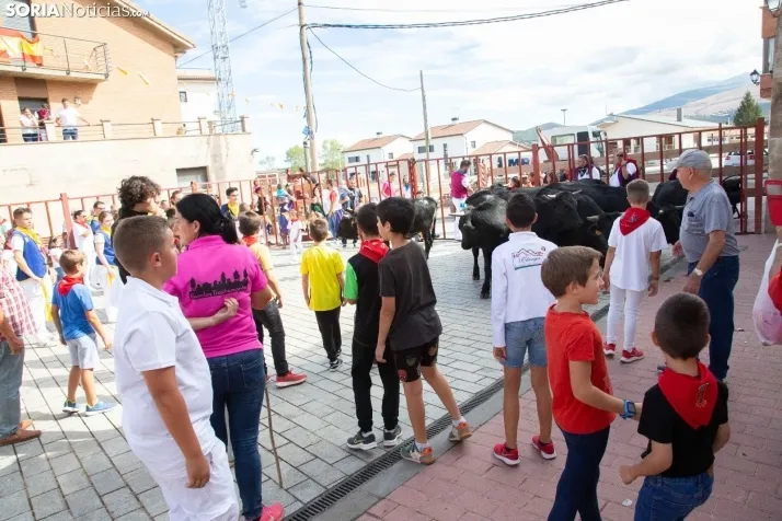 Encierro Fiestas Ólvega 2022