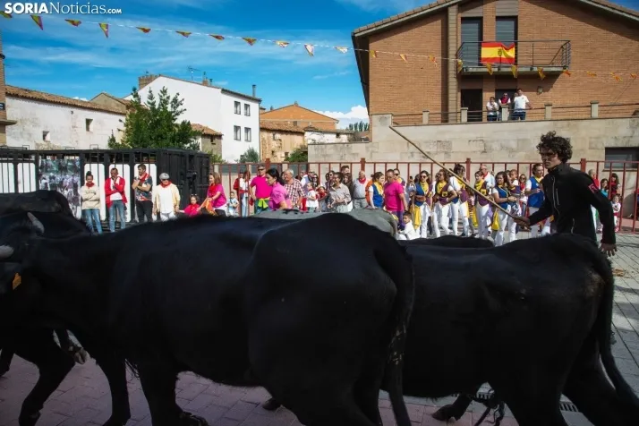 Encierro Fiestas Ólvega 2022