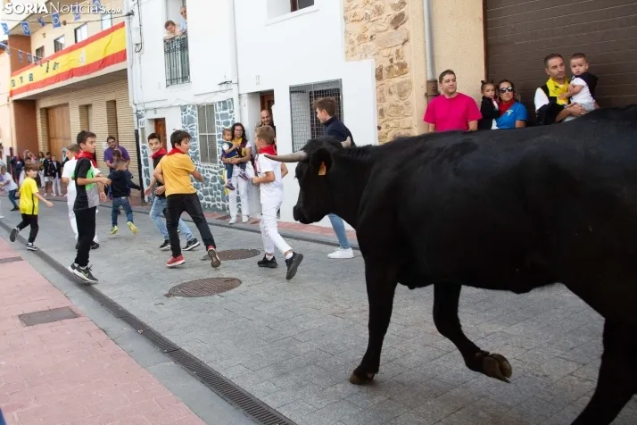 Encierro Fiestas Ólvega 2022