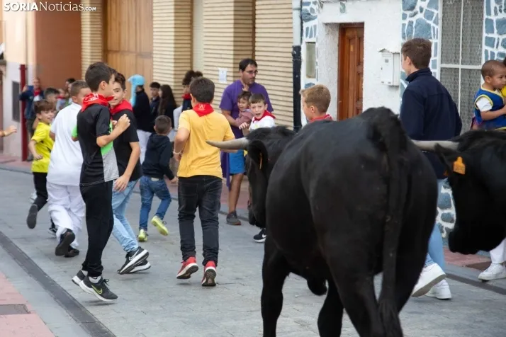 Encierro Fiestas Ólvega 2022
