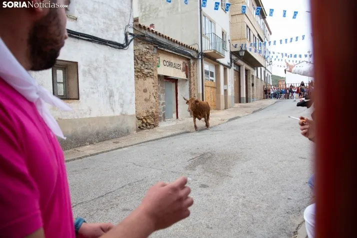 Encierro Fiestas Ólvega 2022