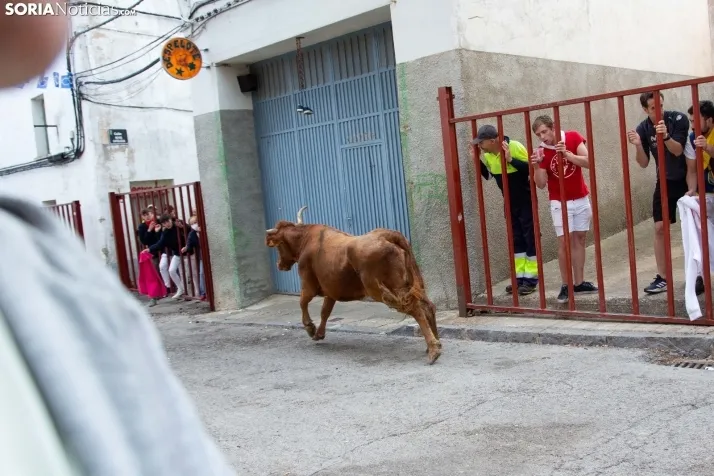 Encierro Fiestas Ólvega 2022
