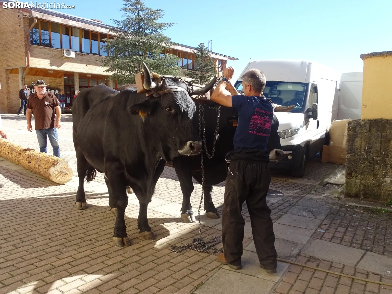 Una imagen de la apertura de la feria este viernes. /SN