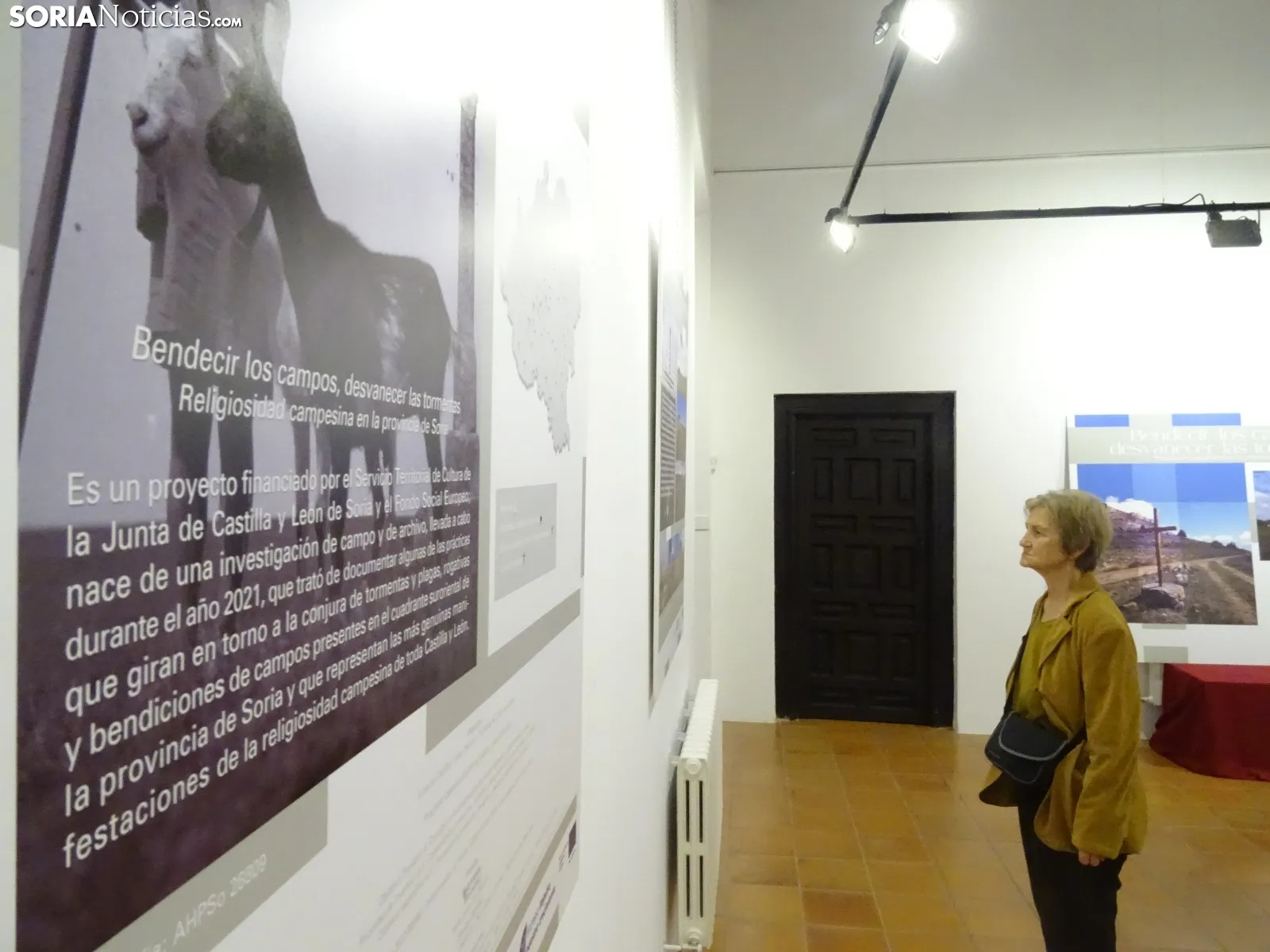 Foto 7 - De visita por el palacio de Los Castejones en &Aacute;greda