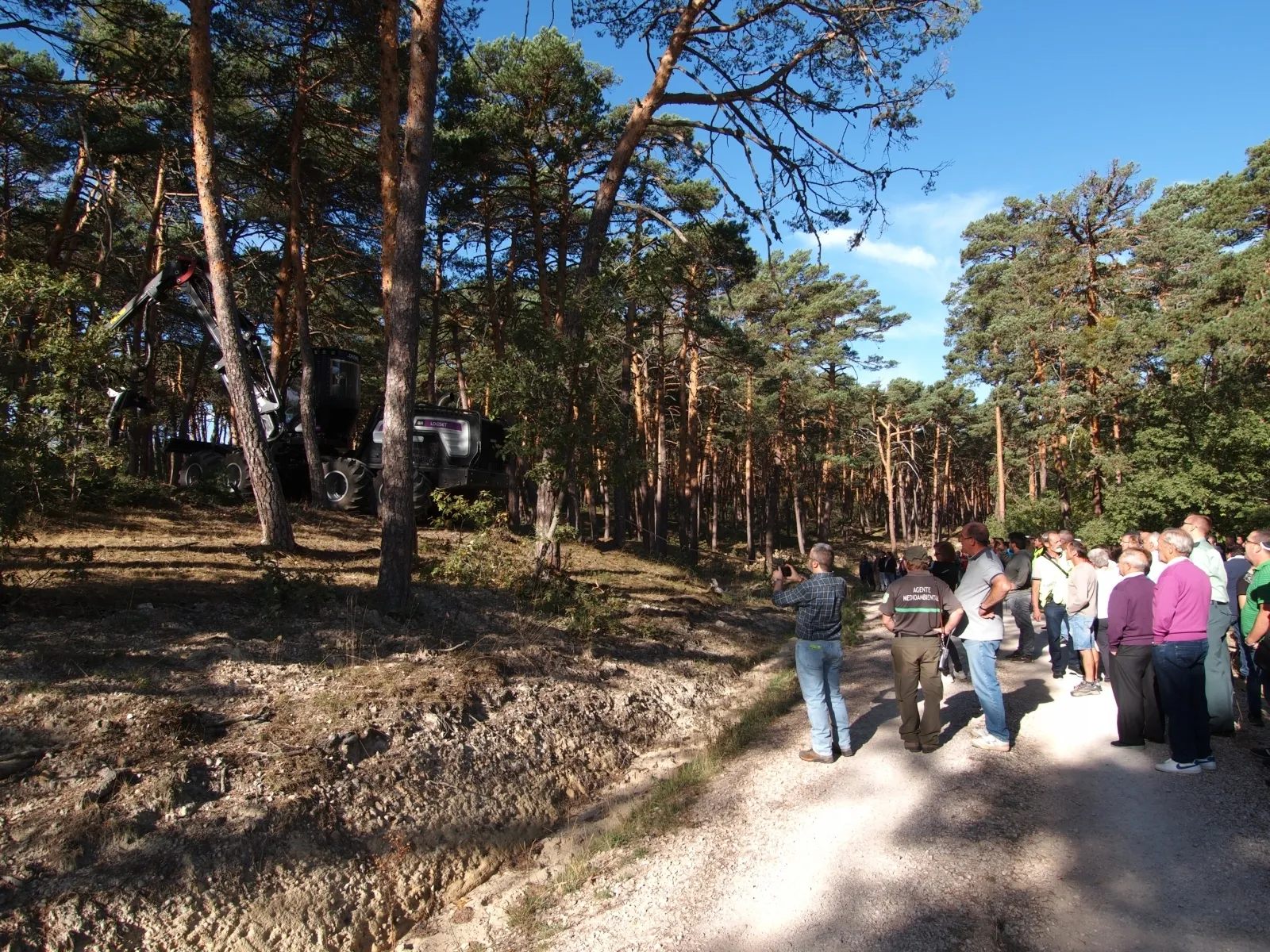 Foto 7 - CABFOREST 2022: Pinares vuelve a tener feria forestal 