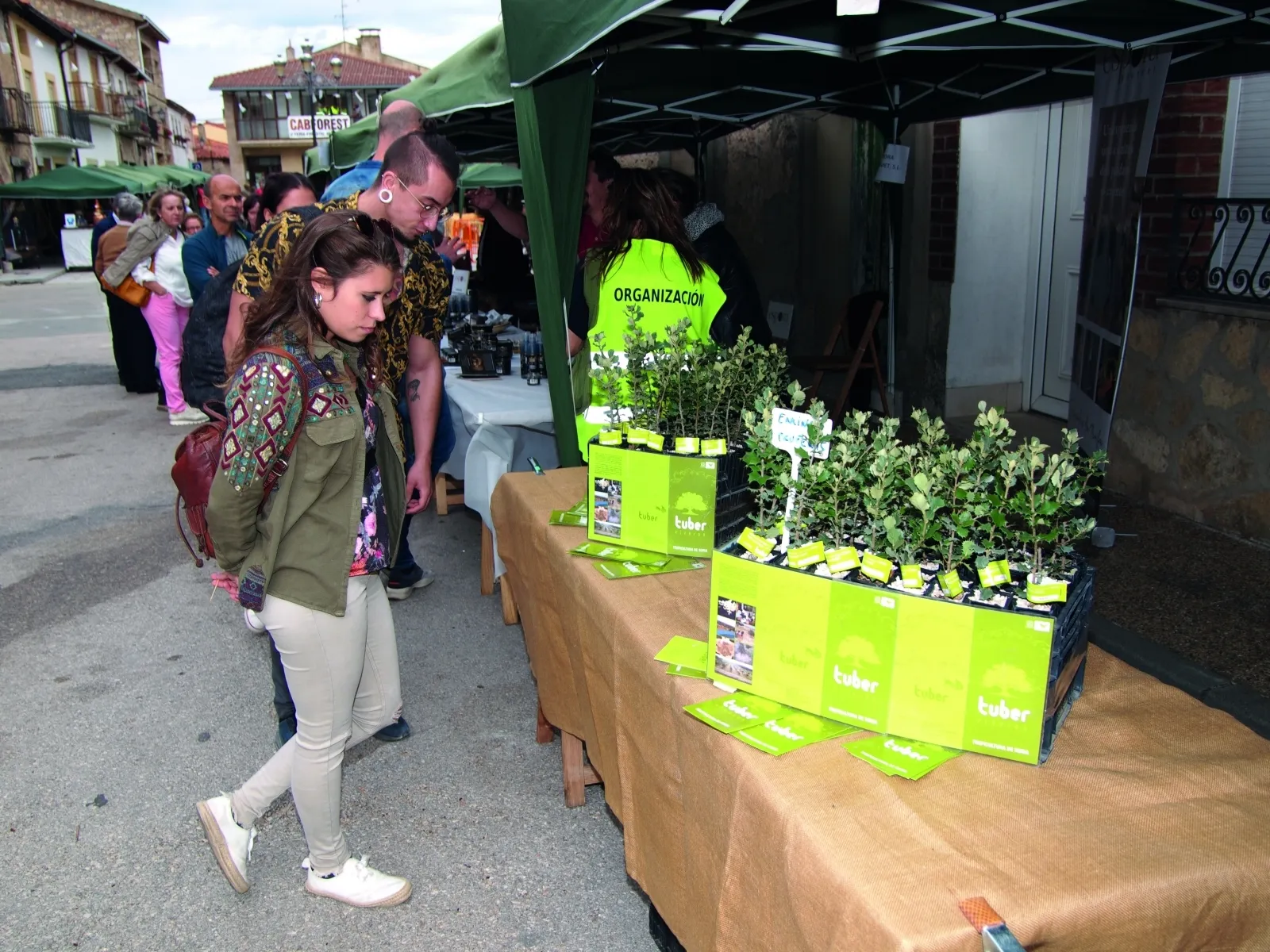 Foto 2 - CABFOREST 2022: Pinares vuelve a tener feria forestal 