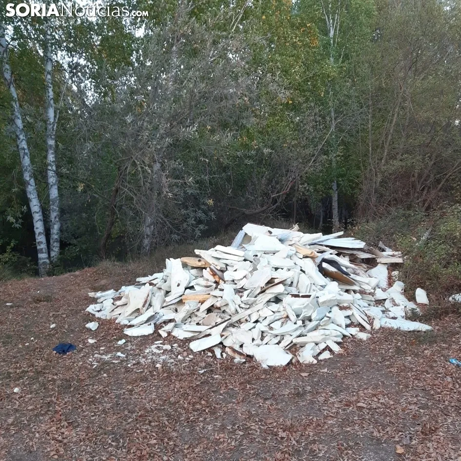 Foto 2 - Aparece una escombrera ilegal en Garray