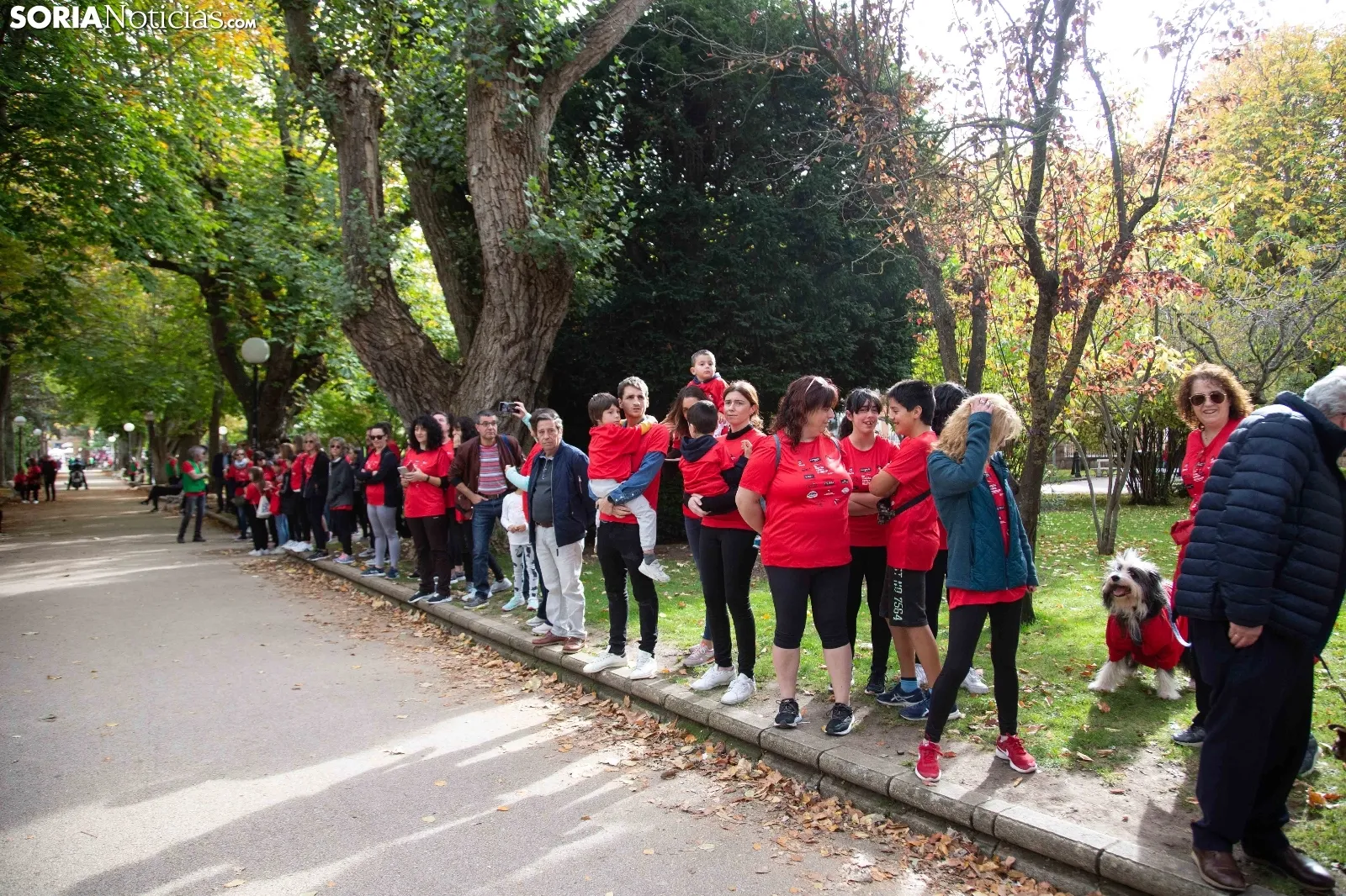 Marea roja contra el cáncer