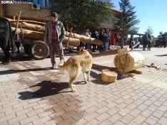 Una imagen de la apertura de la feria este viernes. /SN