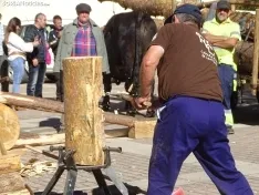 Una imagen de la apertura de la feria este viernes. /SN