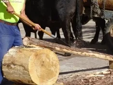 Una imagen de la apertura de la feria este viernes. /SN