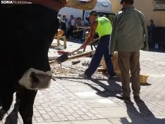 Una imagen de la apertura de la feria este viernes. /SN