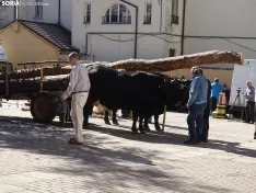 Una imagen de la apertura de la feria este viernes. /SN