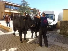 Una imagen de la apertura de la feria este viernes. /SN