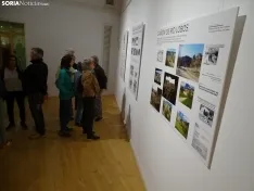 Una imagen de la apertura de la muestra. /SN