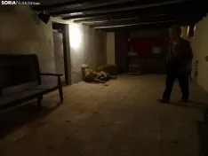 Foto 25 - De visita por el palacio de Los Castejones en &Aacute;greda