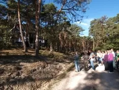 Foto 7 - CABFOREST 2022: Pinares vuelve a tener feria forestal 