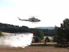 Foto 5 - CABFOREST 2022: Pinares vuelve a tener feria forestal 