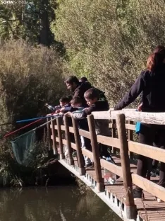 Foto 28 - Fotos: peque&ntilde;os y mayores disfrutan de los torneos de pesca de San Saturio