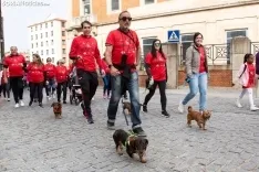 Marea roja contra el cáncer