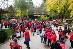 Marea roja contra el cáncer