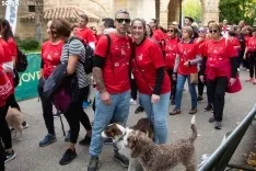 Marea roja contra el cáncer