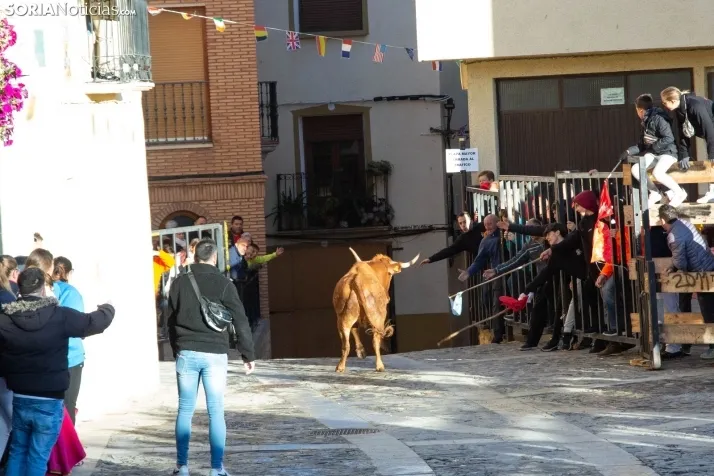 Encierro Fiestas Ágreda