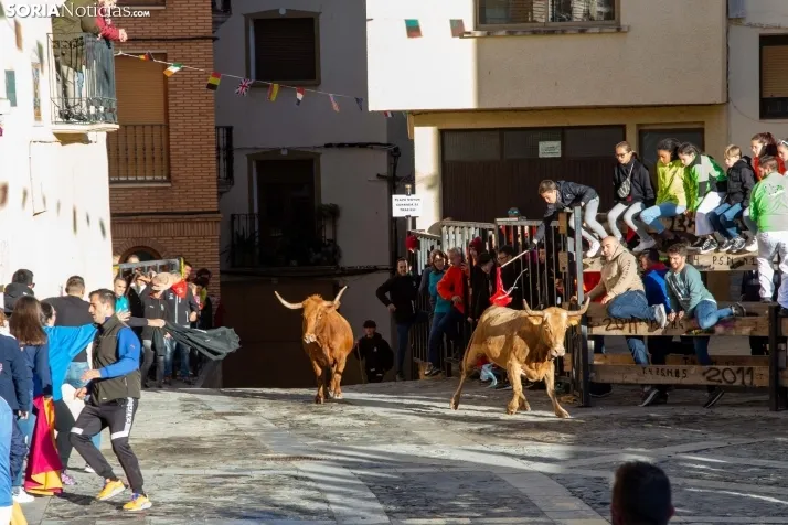 Encierro Fiestas Ágreda