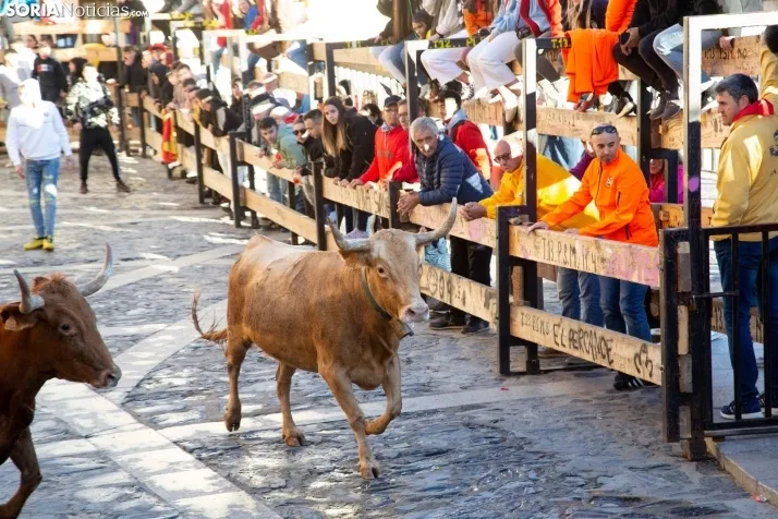 Encierro Fiestas Ágreda