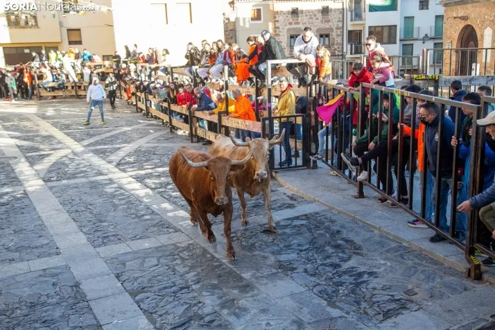 Encierro Fiestas Ágreda