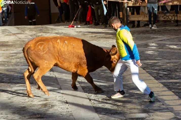 Encierro Fiestas Ágreda