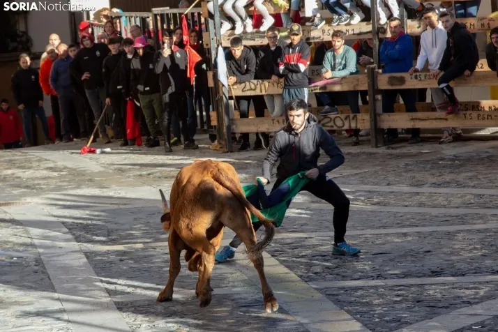 Encierro Fiestas Ágreda