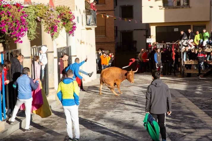 Encierro Fiestas Ágreda