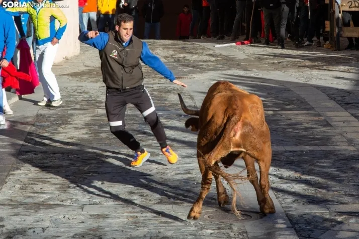 Encierro Fiestas Ágreda