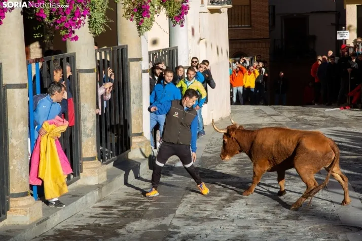 Encierro Fiestas Ágreda