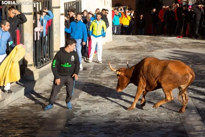 Encierro Fiestas Ágreda