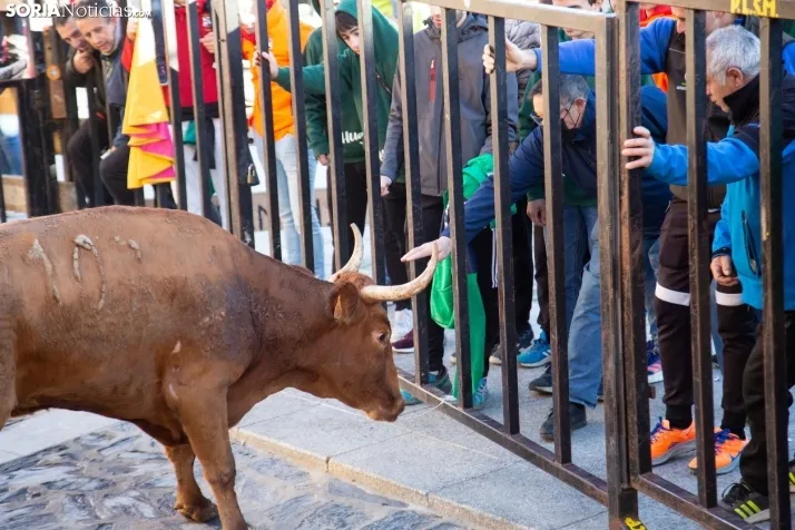 Encierro Fiestas Ágreda