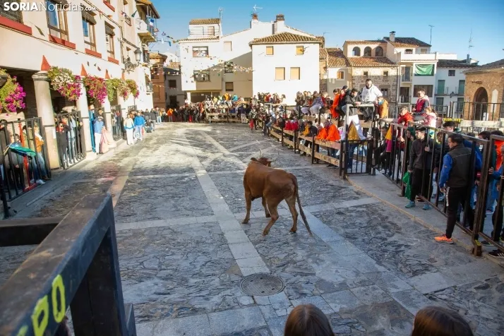 Encierro Fiestas Ágreda