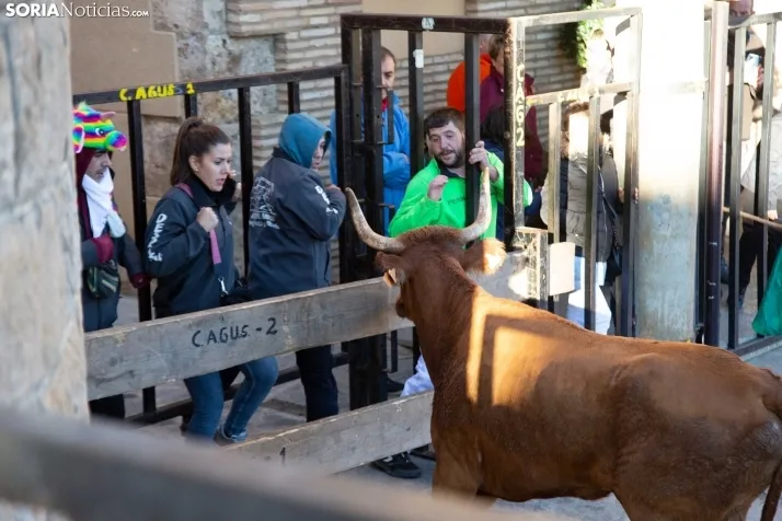 Encierro Fiestas Ágreda