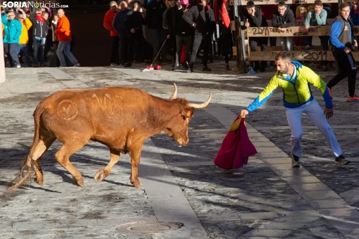 Encierro Fiestas Ágreda