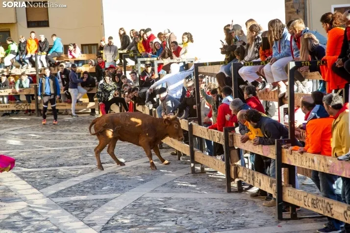Encierro Fiestas Ágreda