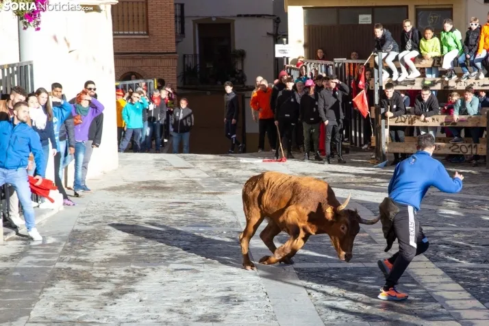 Encierro Fiestas Ágreda