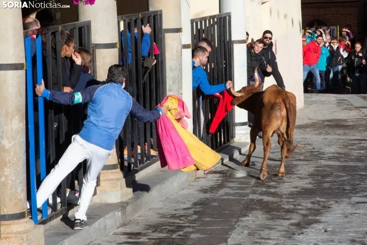 Encierro Fiestas Ágreda