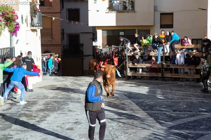 Encierro Fiestas Ágreda