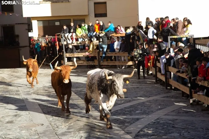 Encierro Fiestas Ágreda