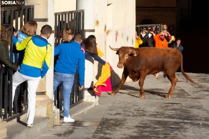 Encierro Fiestas Ágreda