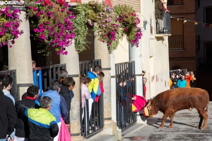 Encierro Fiestas Ágreda